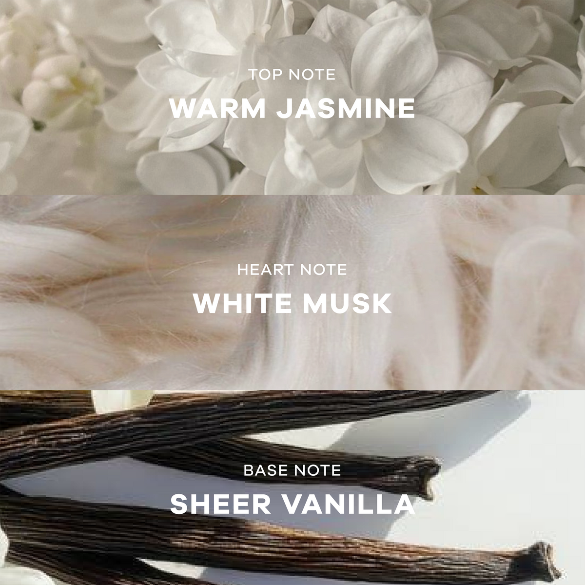 Vacation Bundle: Nikki & Janey